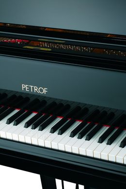 Рояль Petrof P284-Mistral-0801