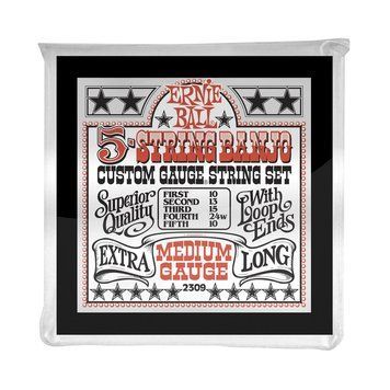Струни для 5-струнного банджо 10-10 Ernie Ball P02309