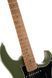 Електрогітара CORT Cort G250 SE (Olive Dark Green)