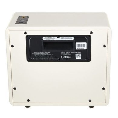 Комбоусилитель гитарный MOOER Hornet 15i White