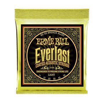 Струни для акустичної гітари 11-52 Ernie Ball P02558