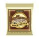 Струни для акустичної гітари 10-52 Ernie Ball P02008