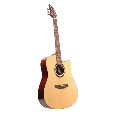 Акустична гітара FLYCAT C100 NT