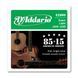 Струни для акустичної гітари D'ADDARIO EZ-890 (09-45)