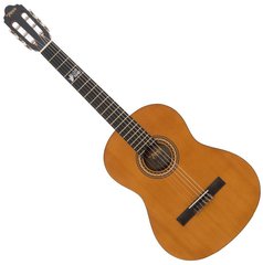 Гітара класична (лівостороння) VALENCIA VC204L