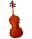 Скрипка Cervini HV-100 (3/4)