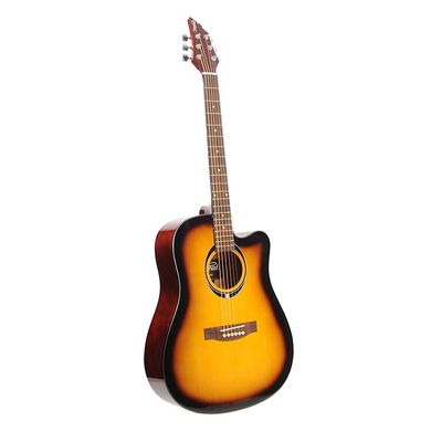 Акустична гітара FLYCAT C100 TSB