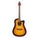 Акустична гітара FLYCAT C100 TSB