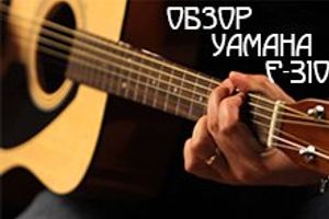 Обзор акустической гитары Yamaha F310