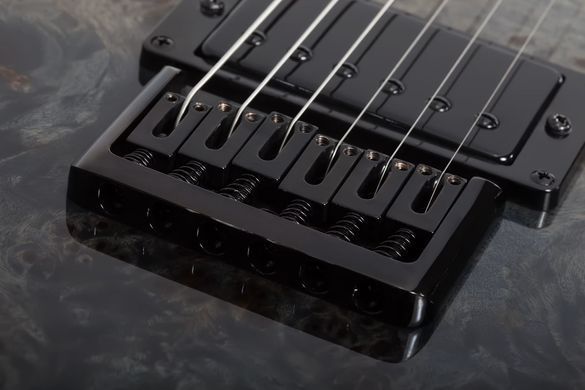 Электрогитара SCHECTER PT STANDARD Black Fade Burst Burl