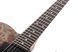 Электрогитара SCHECTER PT STANDARD Black Fade Burst Burl